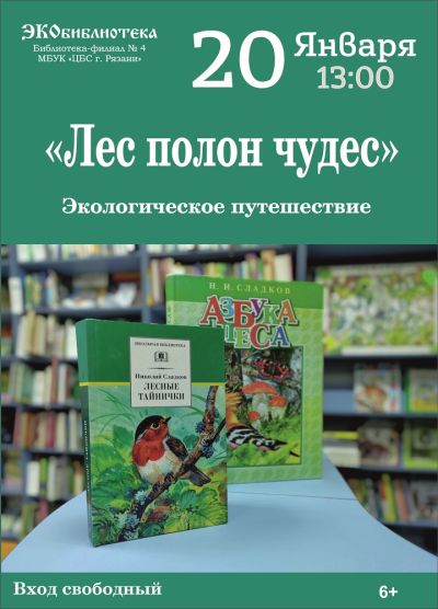 Лес полон чудес
