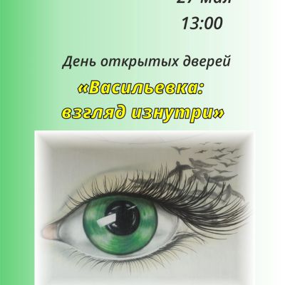 Васильевка: взгляд изнутри