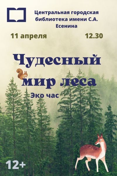 Чудесный мир леса
