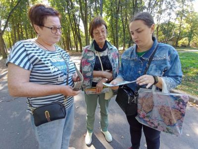 На активной волне