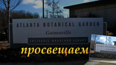 Ботанический сад в Атланте