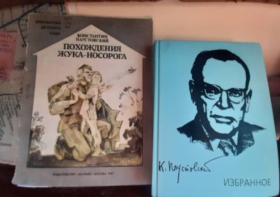 Похождения жука-носорога