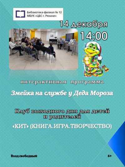 Змейка на службе у Деда Мороза