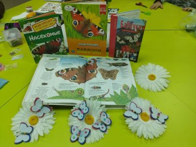 Зачарованный мир бабочек 