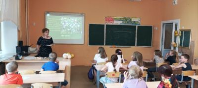 Заходи в зеленый дом, чудеса увидишь в нем 
